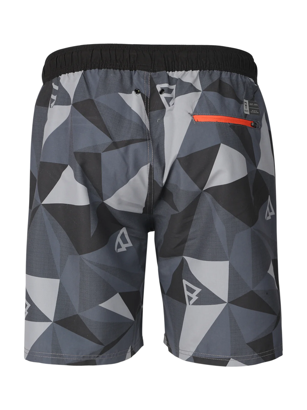 Aboard Men Swimshort | Titanium