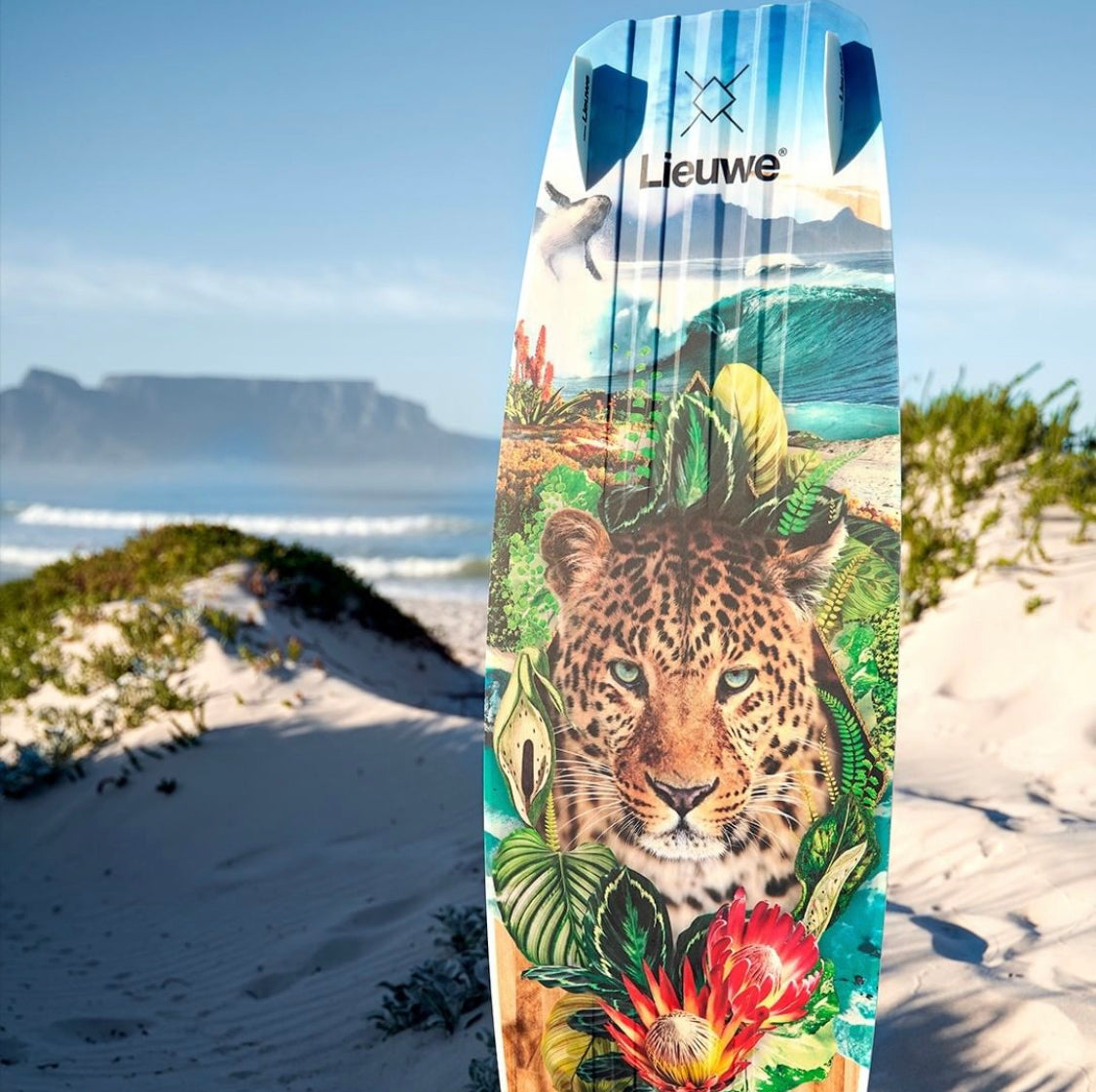 Lieuwe CAPE TOWN  Edition